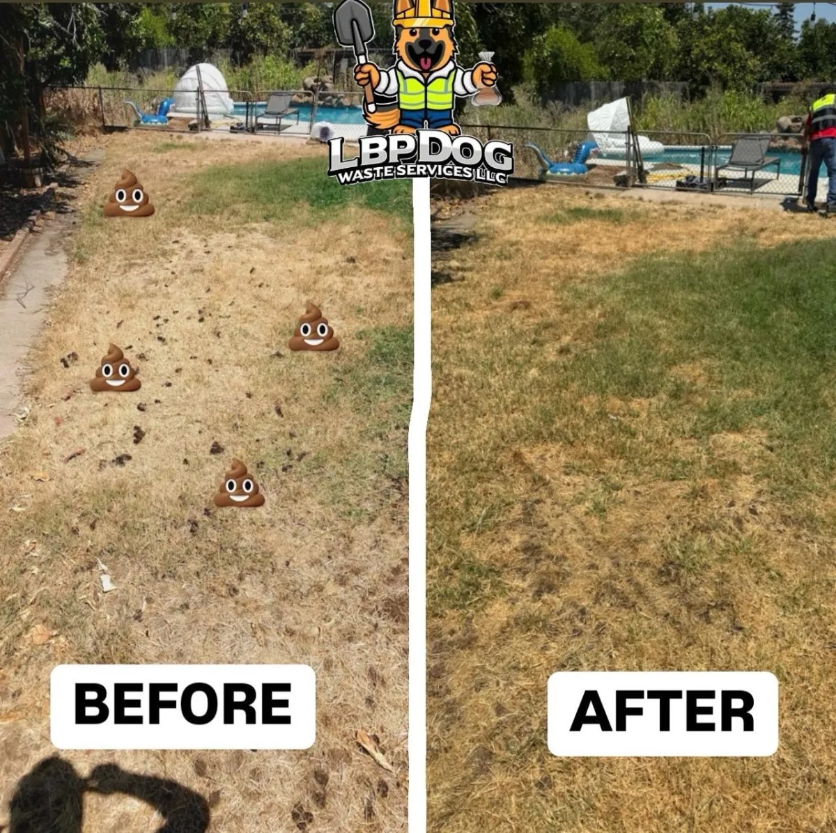 Before and after dog waste cleanup on a back lawn