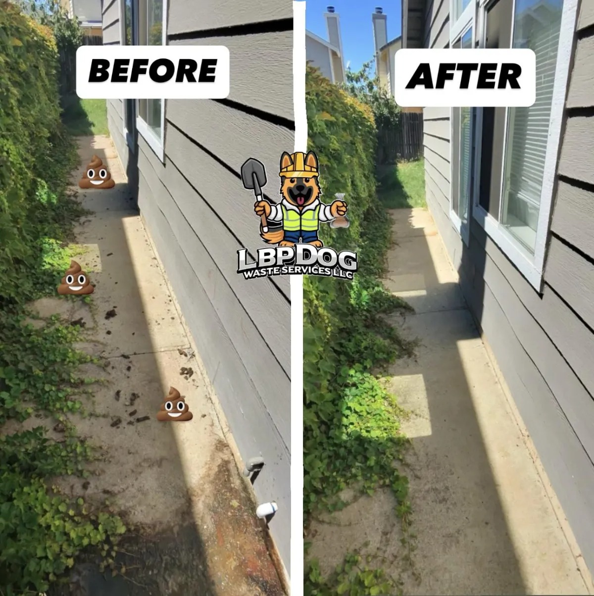 Before and after dog waste cleanup along a side walkway