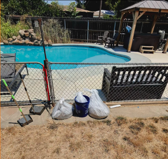 Bagged dog waste and scooping tools beside a backyard pool after service