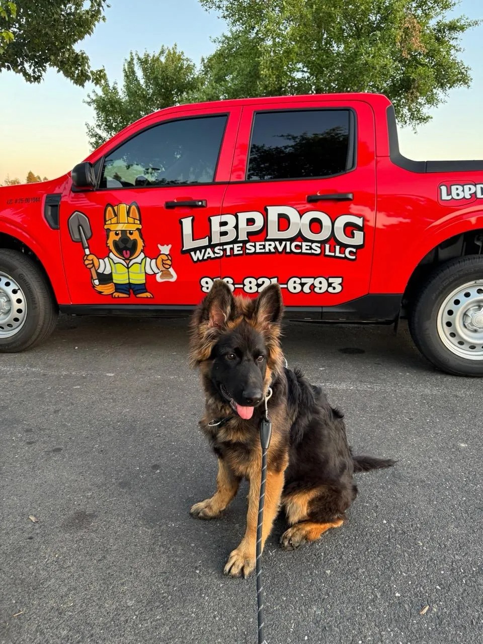 LBP Dog Waste Services truck with a German Shepherd in Sacramento